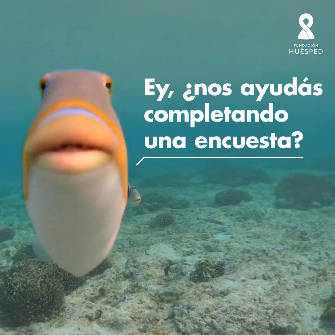 ¿Nos hacés un favorcito?

Queremos saber cuánto conocés de nosotros para hacer mejor nuestro trabajo ¿Nos ayudás respondiendo una encuesta muy cortita?😉

Encontrá las preguntas en bit.ly/EncuestaFH2024