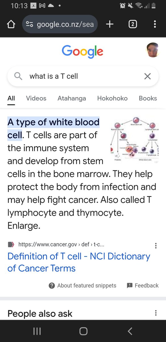 stevybryan7's tweet photo. T cells work with macrophages to treat infections and viruses. Stimulating T cells, and anything that works T cells heals the person. https://t.co/heIhd06xjN