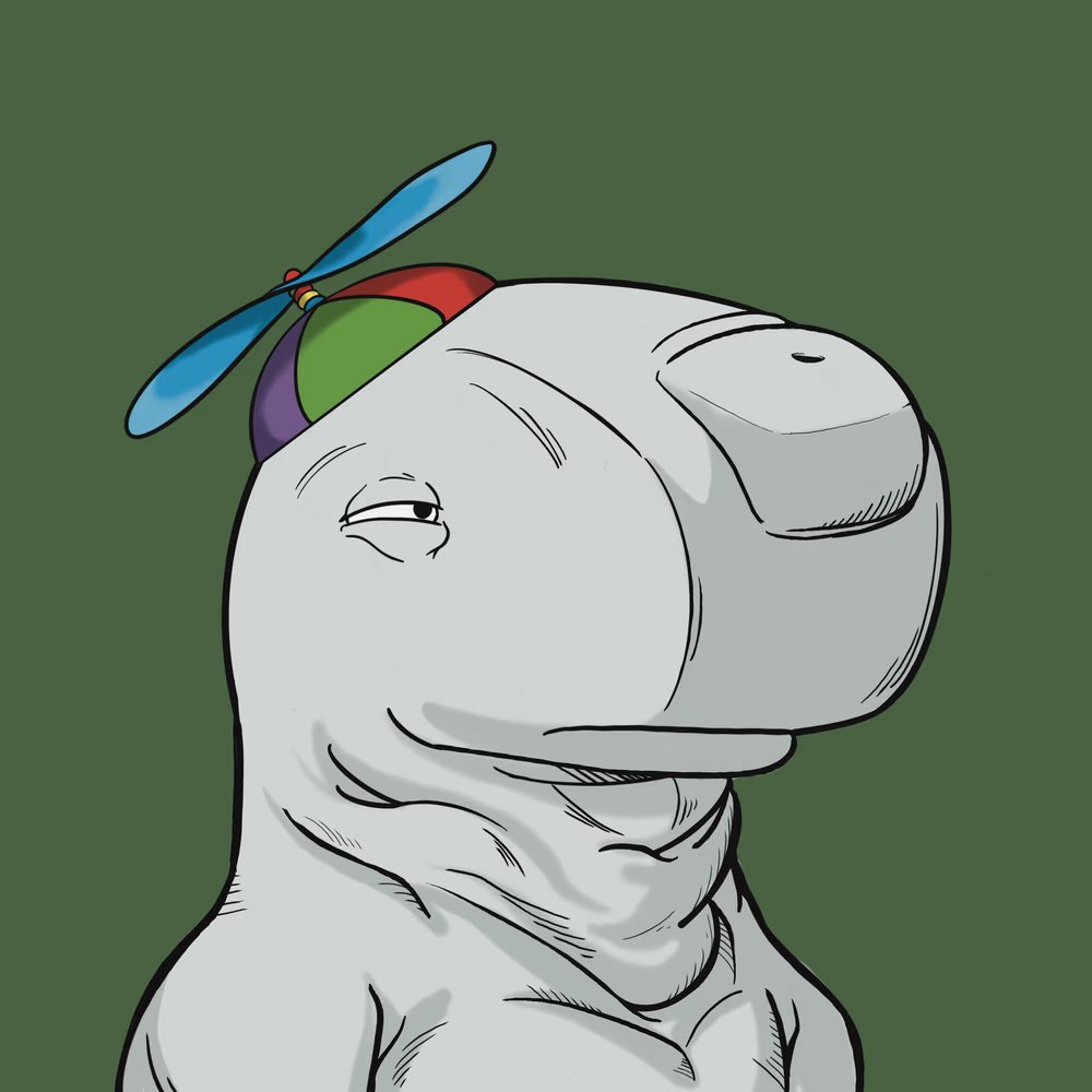 Secret Society of Whales 🐋 tweet media