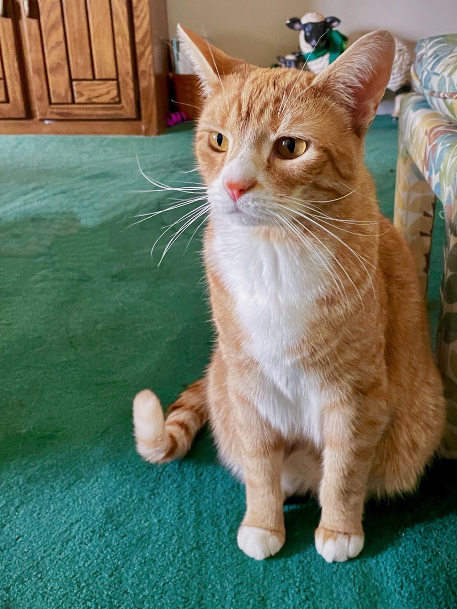 Just a reminger: if nobody in the world will be nice to you , Milkm'an will be nice to you!!! Even if you are allll alone in a scarey world, Milkman' is always here to giving you so much Love!!! 💕