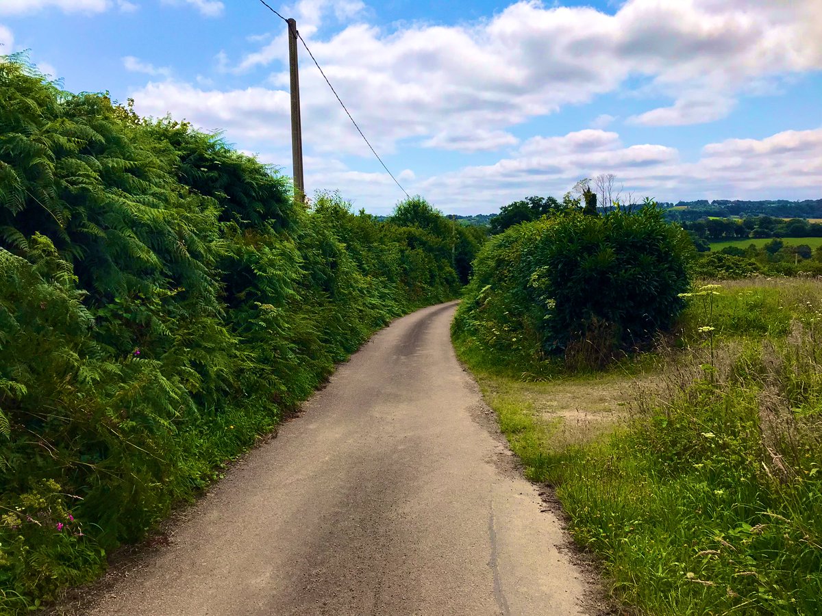 Maurice Backerra tweet media