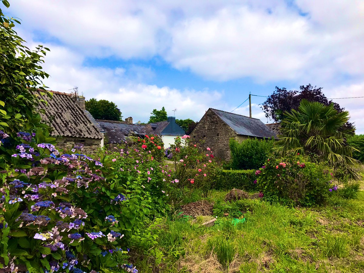 Maurice Backerra tweet media