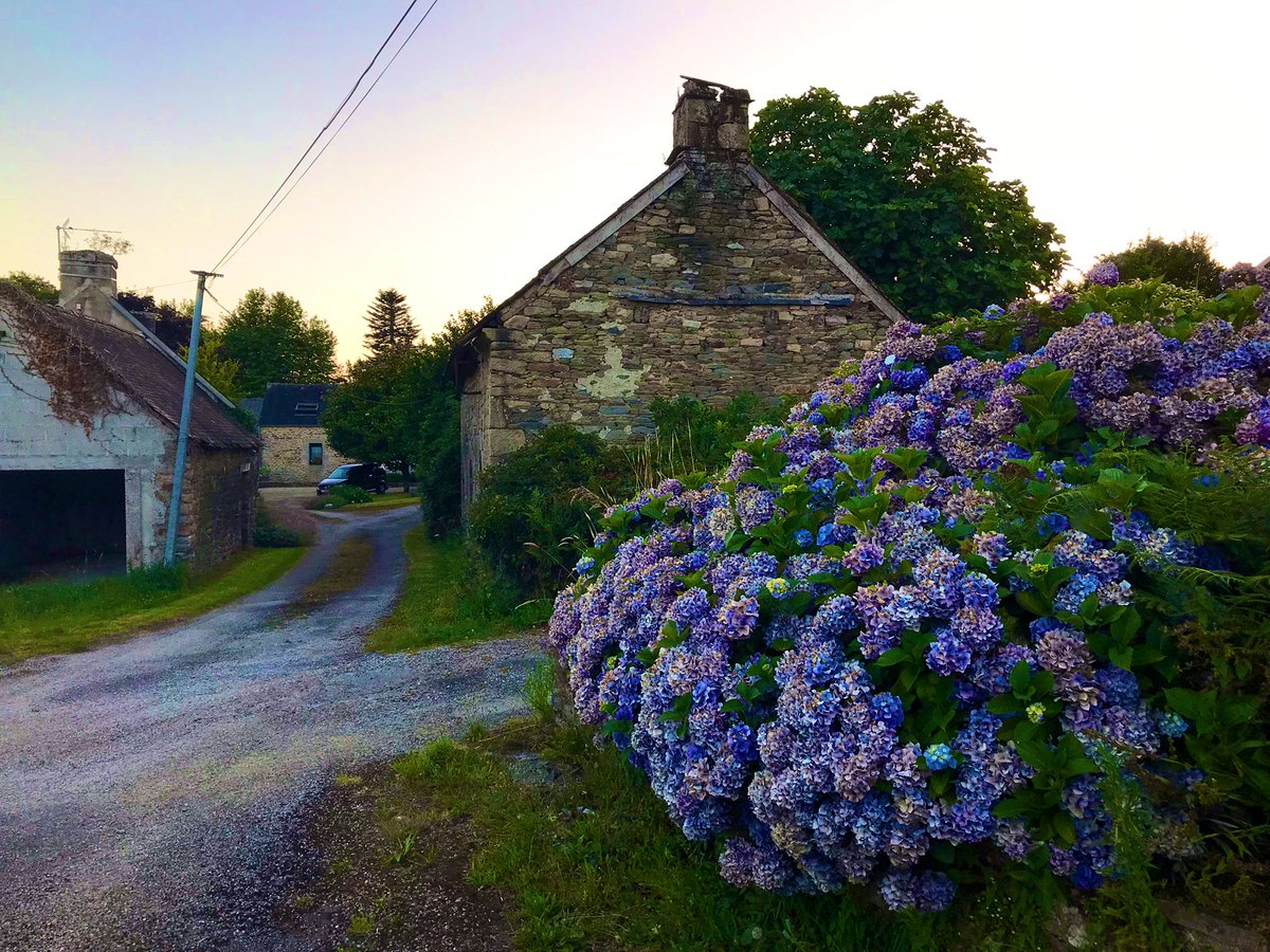 Maurice Backerra tweet media