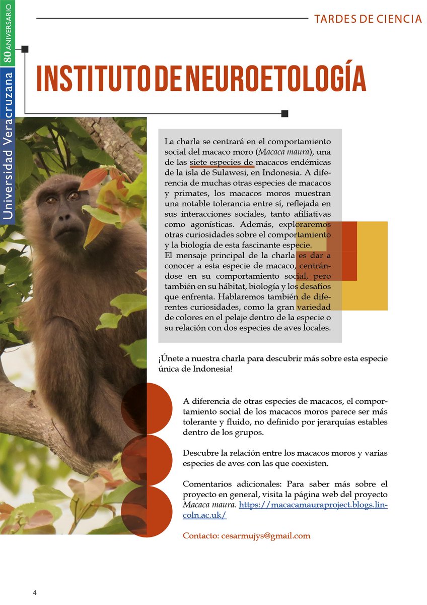 Dirección General de Investigaciones UV tweet media