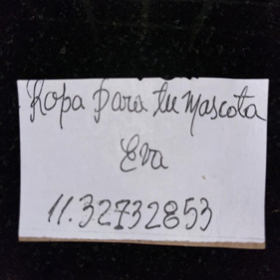 balcanizada's tweet photo. Una señora hace abrigos para perritos a precios re accesibles (3.000 a 5.000 pesos). Cómprenle para los callejeros de sus zonas. Buenos Aires. Difundan. https://t.co/EZfnwZOcec