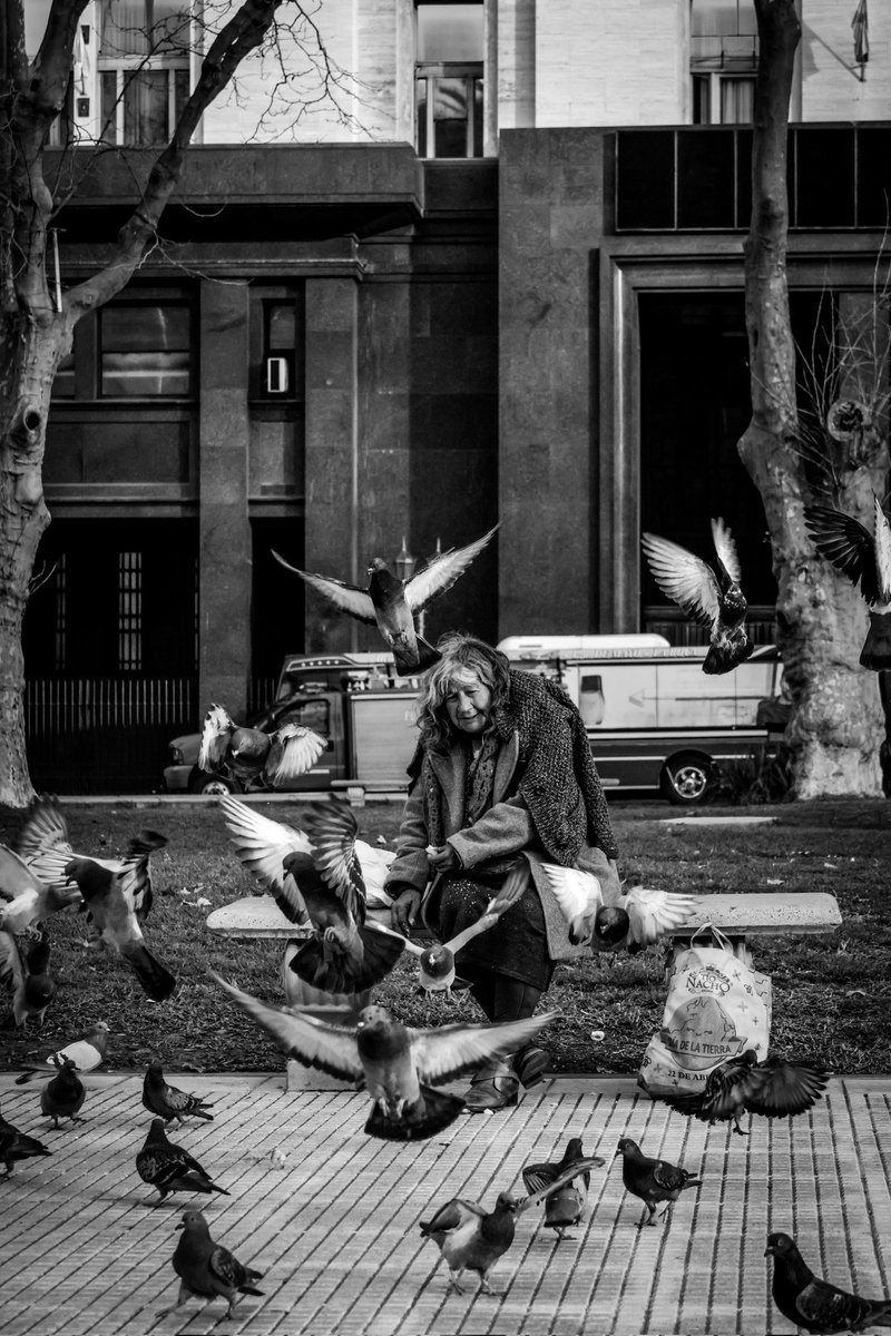 bsas_lovers's tweet image. La señora de las palomas.