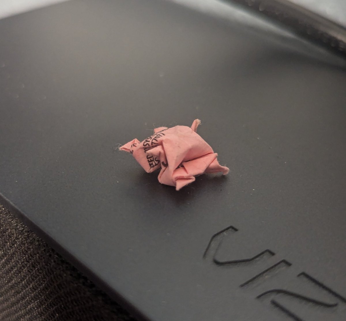 I made a tiny turtle