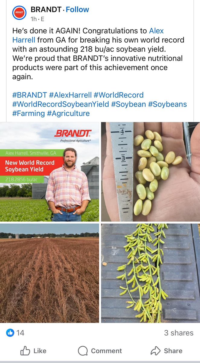 Darrin Schmidt tweet media