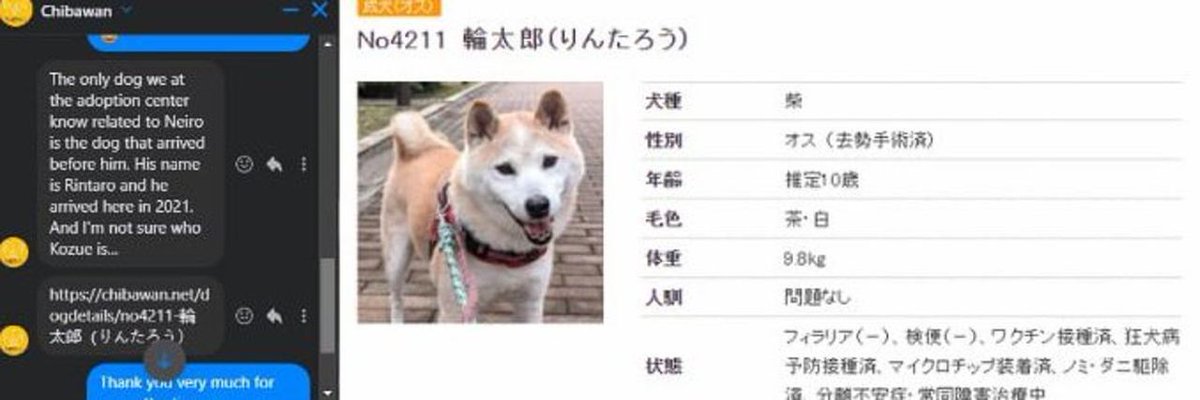 Rintaro tweet media