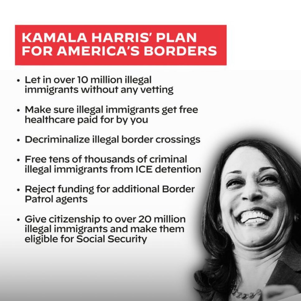 hodgetwins's tweet image. 🚨BREAKING: Kamala Harris just released her border and immigration plan