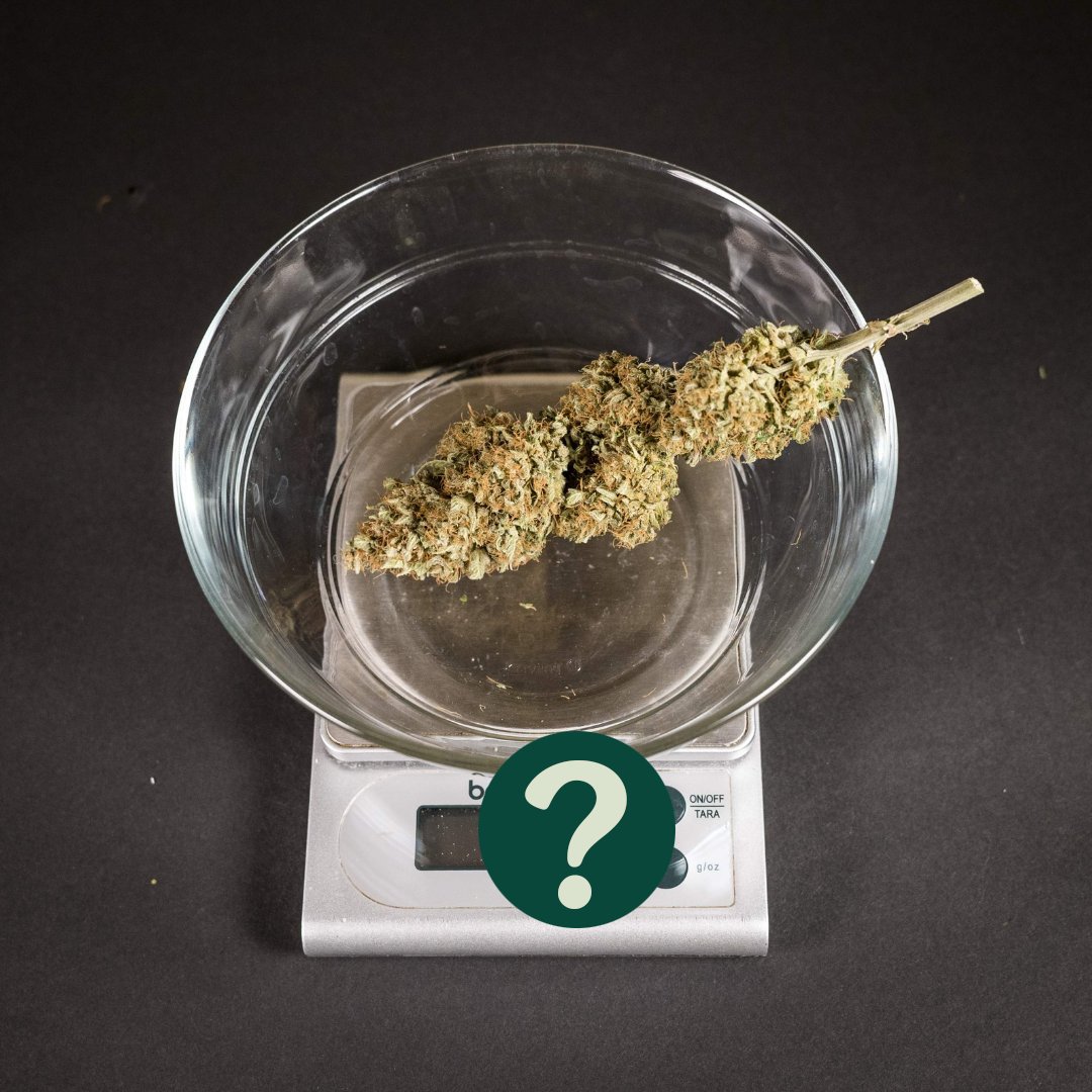 Recifat Aquarium (@greendropszaza) on Twitter photo 