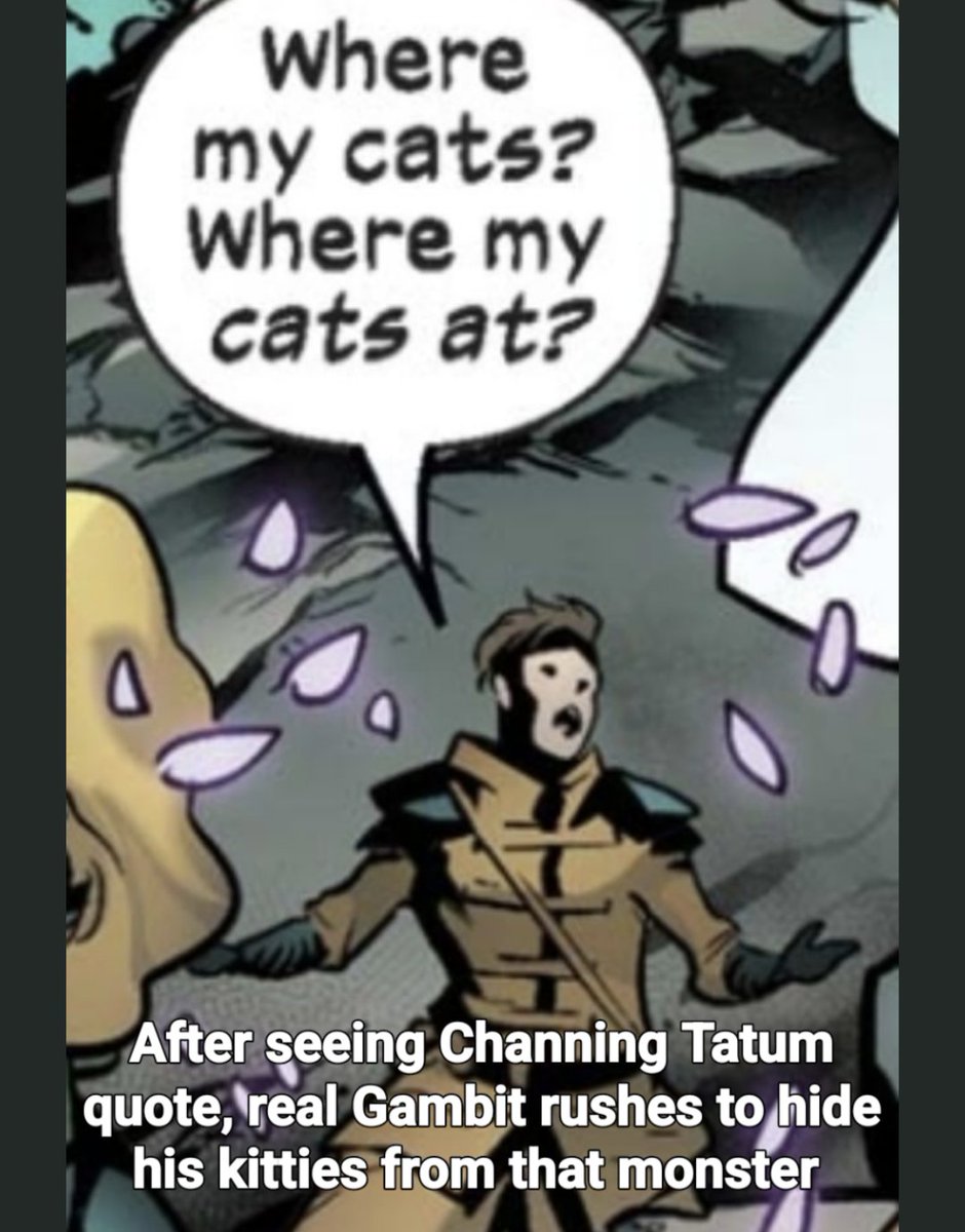 Does this have a name yet? I feel like #kittengate should be in the running.