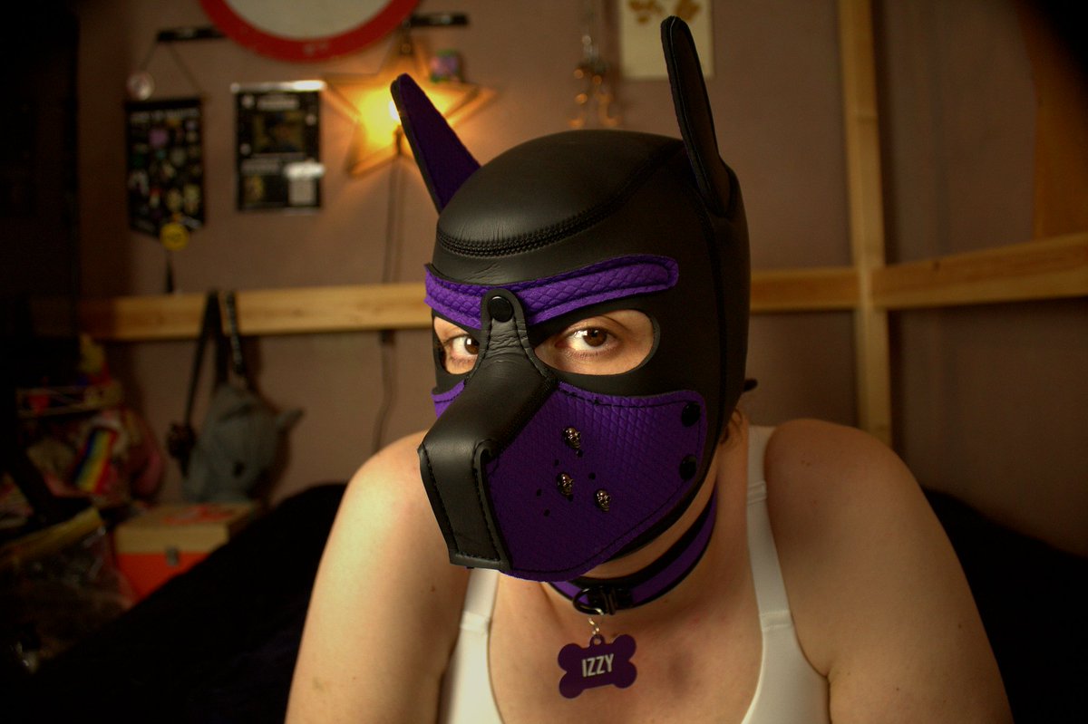 Izzy1Pup's tweet photo. Time for some photos... 
more to come x https://t.co/sEXZT8XPJn