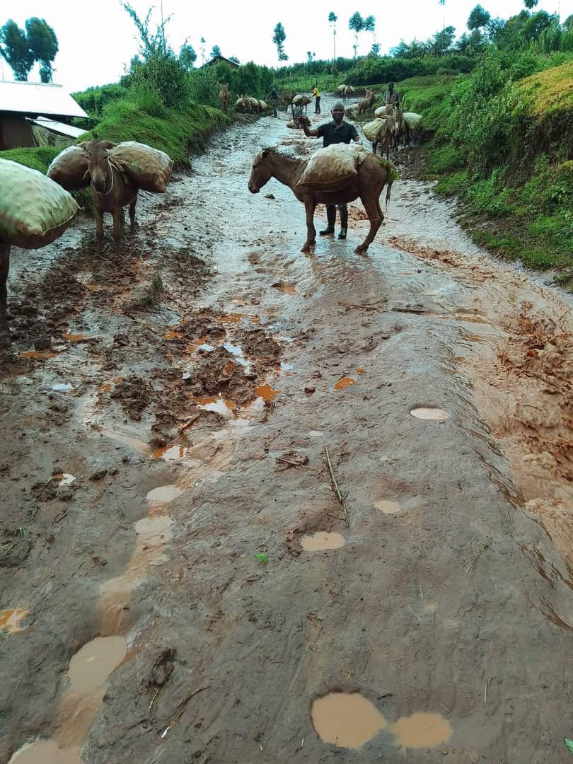 Poor market accessibility not only affects farmers income but as well demorise the ever hard working farmers and disorganizes the food supply along the food chain system in kween