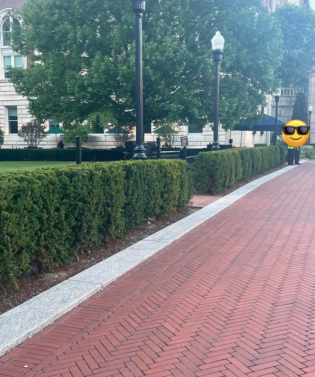 @itslaylas on upscrolled 🪬 tweet media