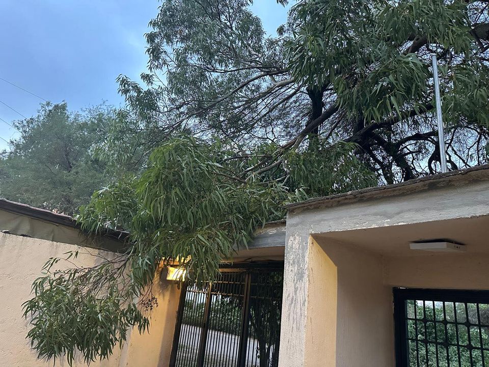 Trafico_ZMG's tweet photo. Varias ramas cayeron sobre la fachada de una casa, tirando la cerca eléctrica; pedimos su apoyo para canalizar el reporte @GobTlajomulco.
Los hechos ocurren en Camino a La Providencia 1078, en el Fraccionamiento Campo Sur, en Tlajomulco de Zúñiga

#DenunciaZMG https://t.co/fwjrqXdJ9x