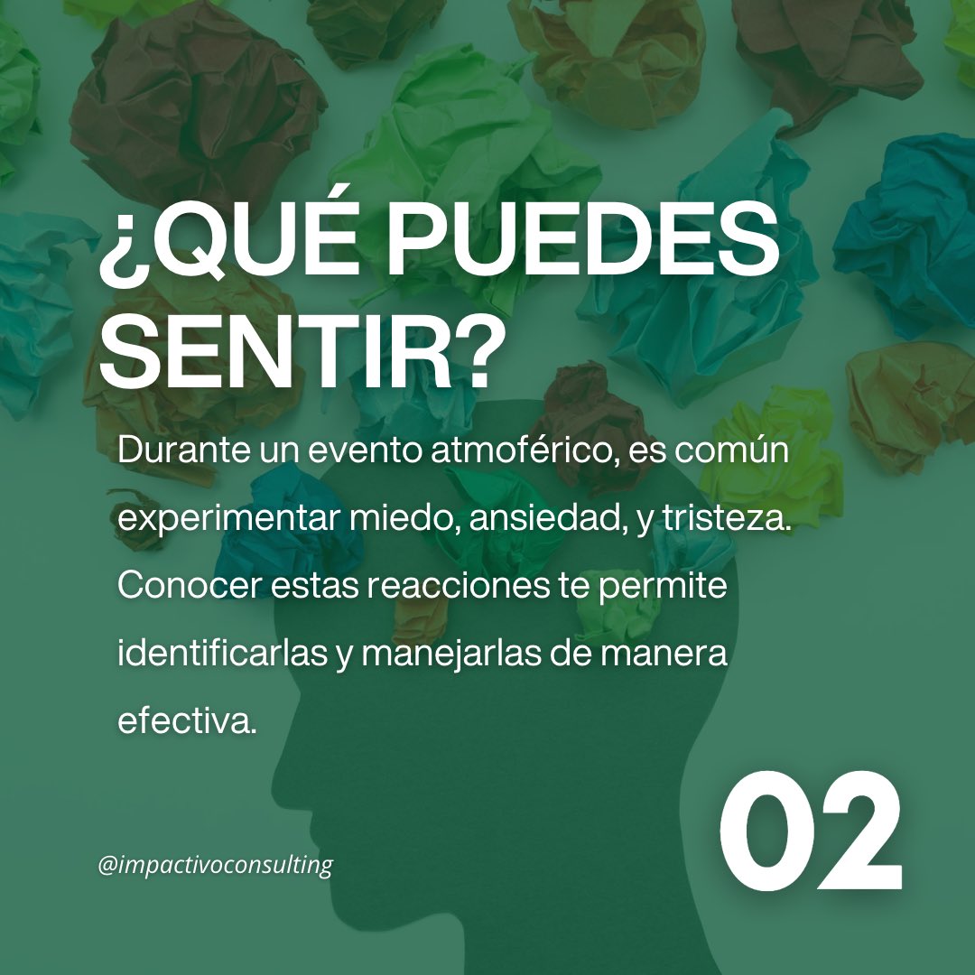 Impactivo Consulting tweet media