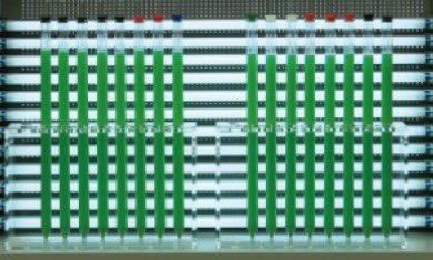 At present, the investment in photobioreactor is profitable in the fields of fertilizers and aquaculture water quality improvement products ，which are high water content.
#photobioreator
#microalgae