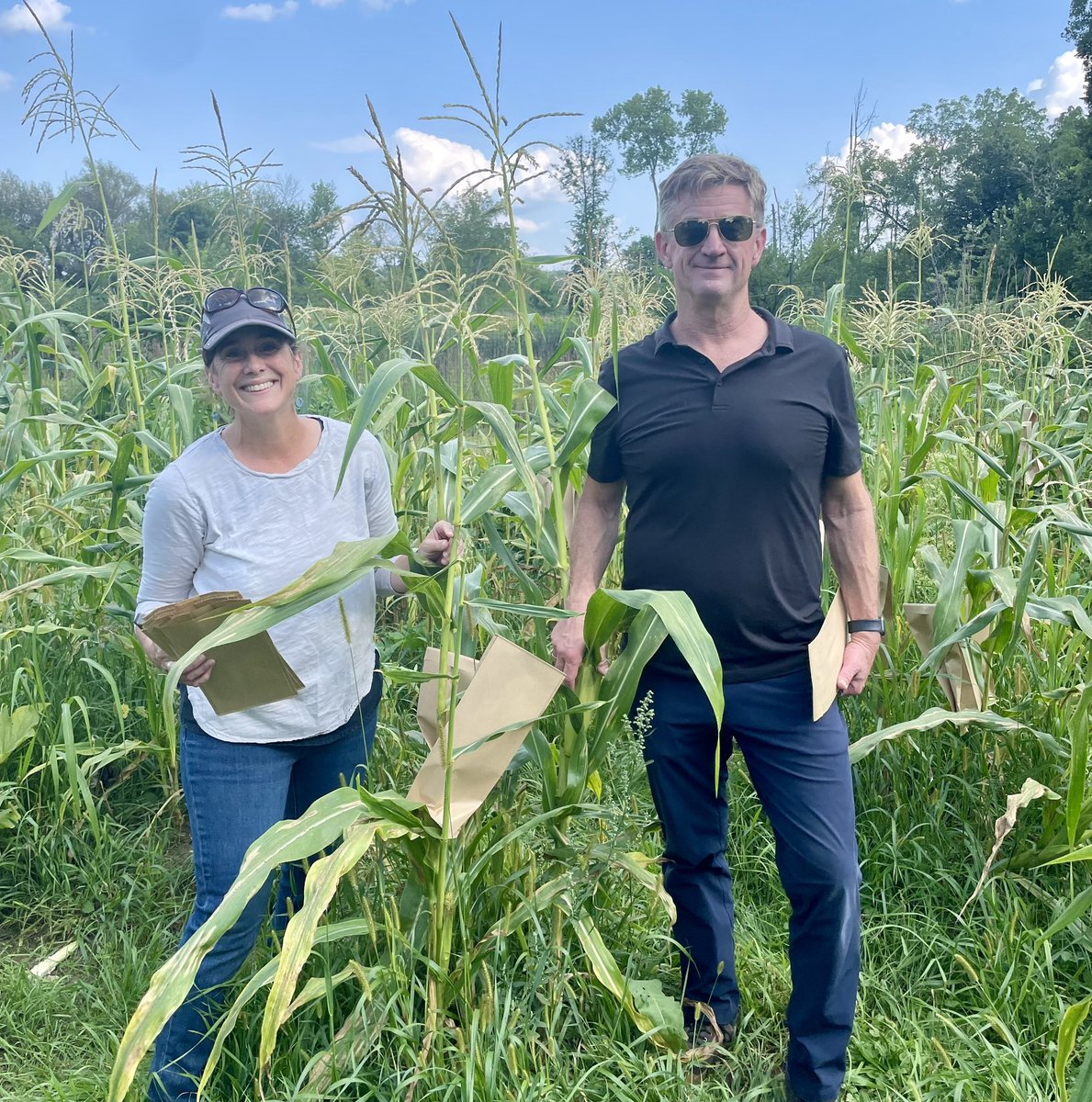 Bret Shaw (@bretshaw1) on Twitter photo Bagging Winnebago seed corn to prevent cranes from eating it at <a href="/UWArboretum/">UW-Madison Arboretum</a> Indigenous Garden as part of Rural Partnership Initiative grant representing <a href="/UWMadisonCALS/">UW–Madison CALS</a> <a href="/UWMadisonExtNRI/">Division of Extension Natural Resources Institute</a> <a href="/UWMadisonExt/">UW–Madison Division of Extension</a> Bagging Winnebago seed corn to prevent cranes from eating it at <a href="/UWArboretum/">UW-Madison Arboretum</a> Indigenous Garden as part of Rural Partnership Initiative grant representing <a href="/UWMadisonCALS/">UW–Madison CALS</a> <a href="/UWMadisonExtNRI/">Division of Extension Natural Resources Institute</a> <a href="/UWMadisonExt/">UW–Madison Division of Extension</a>