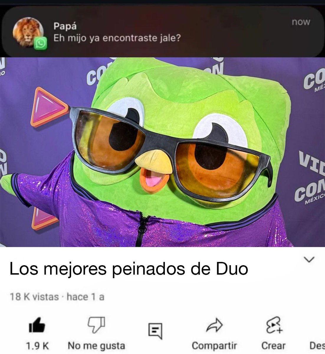 Duolingo Español tweet media