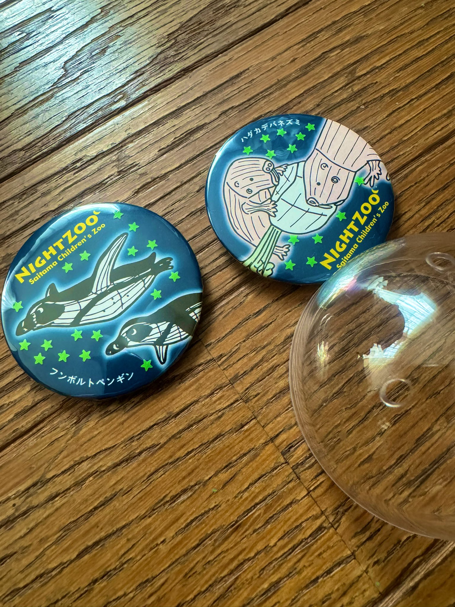 JW 缶バッジ XANXUS Amazon.co.jp: j-world 限定 家庭教師ヒットマンREBORN リボーン