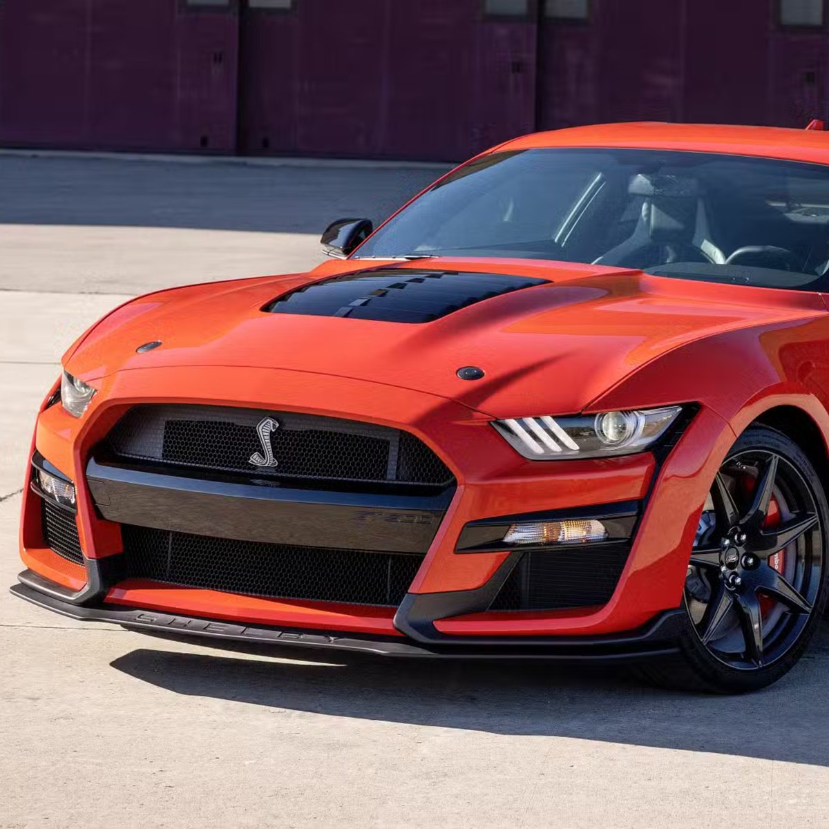 ColleyFordCA's tweet photo. Feel the thrill of the Ford Mustang Shelby GT500. 🏎️🔥

Unmatched performance and iconic design.

Learn more in our bio!
#ColleyFord #MustangShelby #Performance #IconicDesign https://t.co/GZb6yhzMMc
