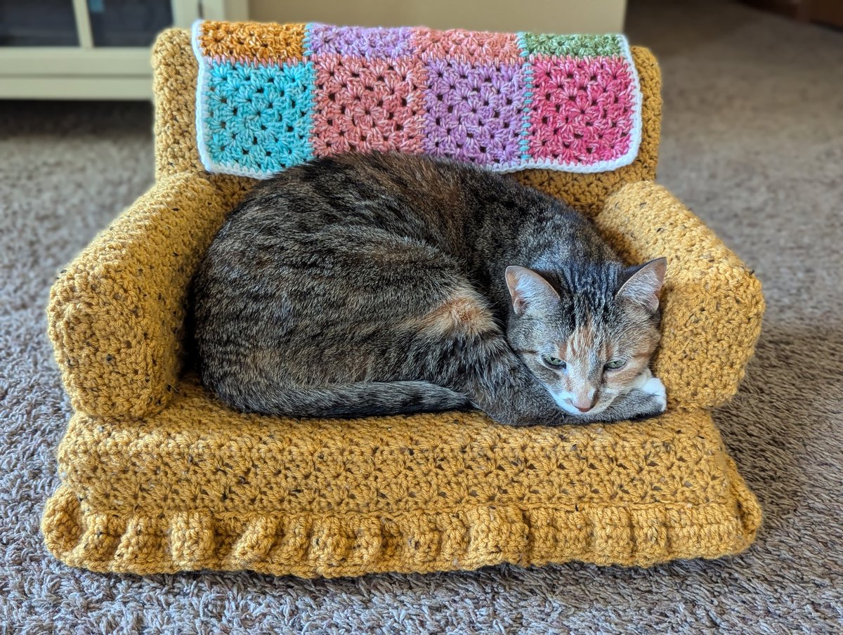 BCosISaidSo's tweet photo. I haven't posted much exclusive cat content lately, but Purrl got a new couch today and that's a real game changer. https://t.co/psO35lDDJm