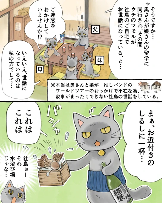 #今日の山野絵 
#ねことりーまん その42

猫田くんの帰省について来た社鳥ですが…
どうなる、猫田くんと社鳥のなつやすみ❗

つづきは明日(たぶん)❗ 