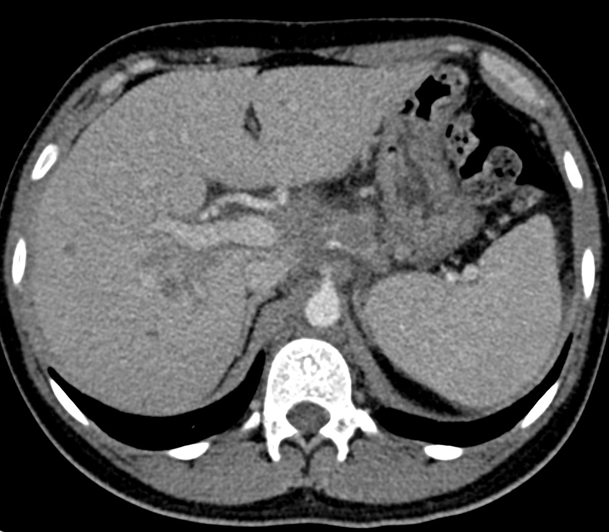 Malak Itani tweet media