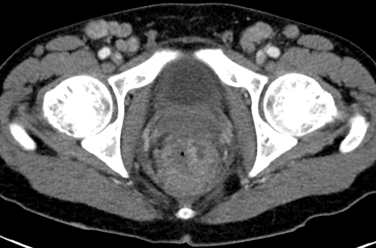 Malak Itani tweet media