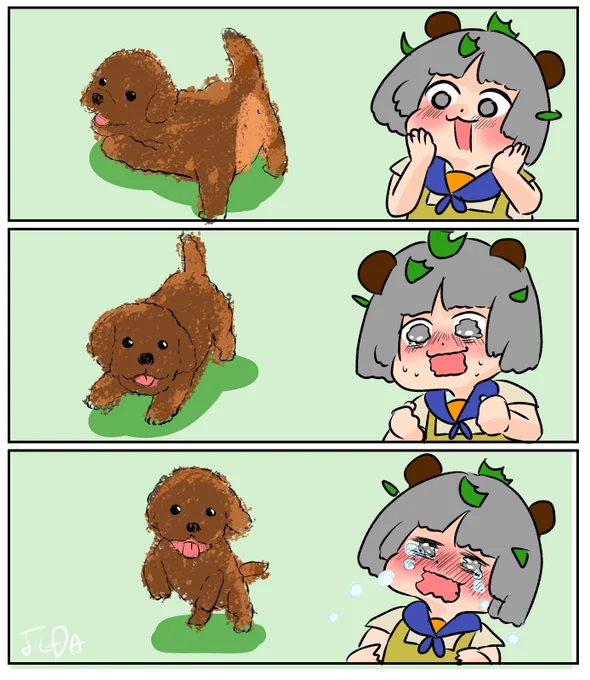 2024.8.14 3DS版『ニンテンドックス』
かわいい我が犬を思い出すぽんぽこさん
 #ぽんぽこはやおき
#ぽこあーと 
