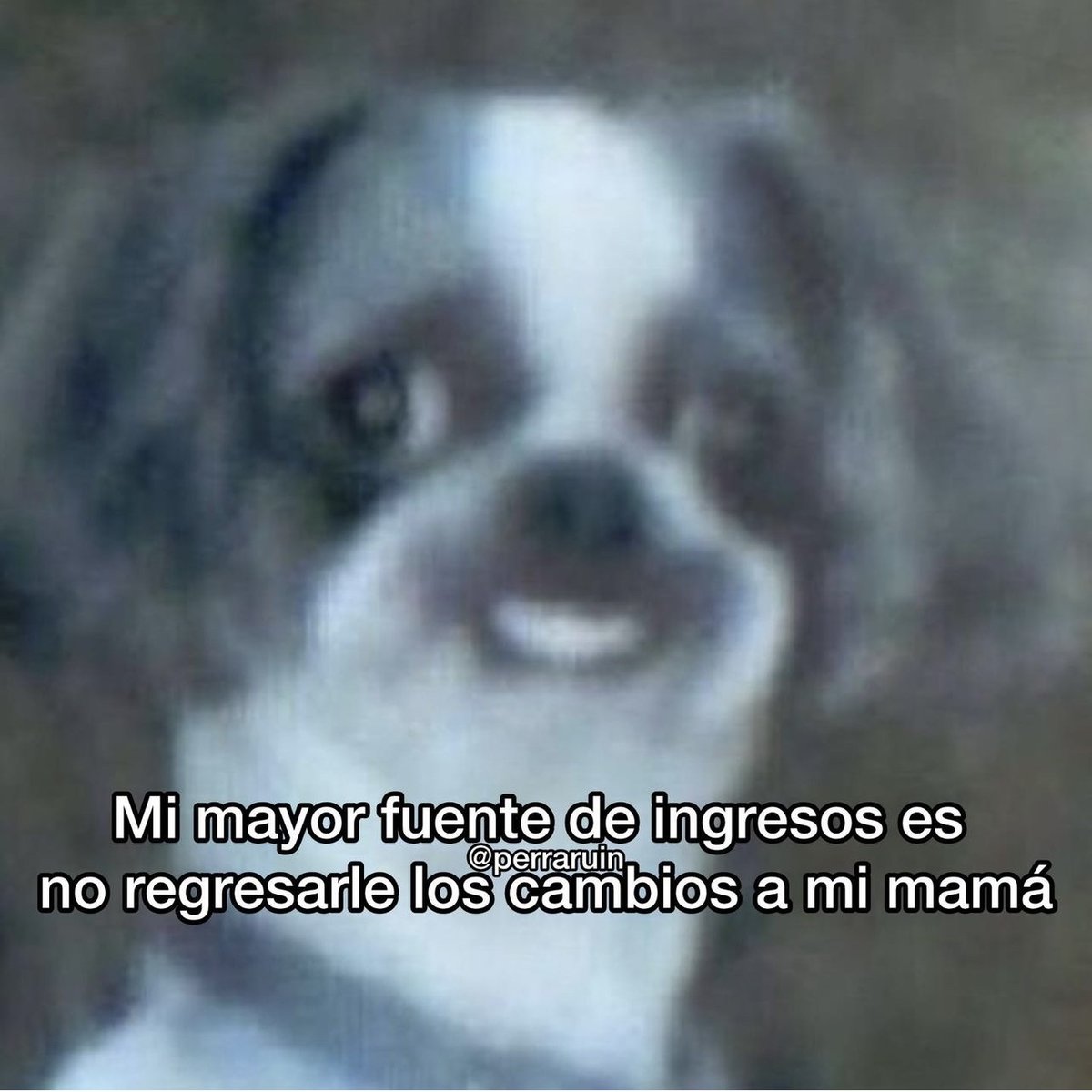 La vdd.