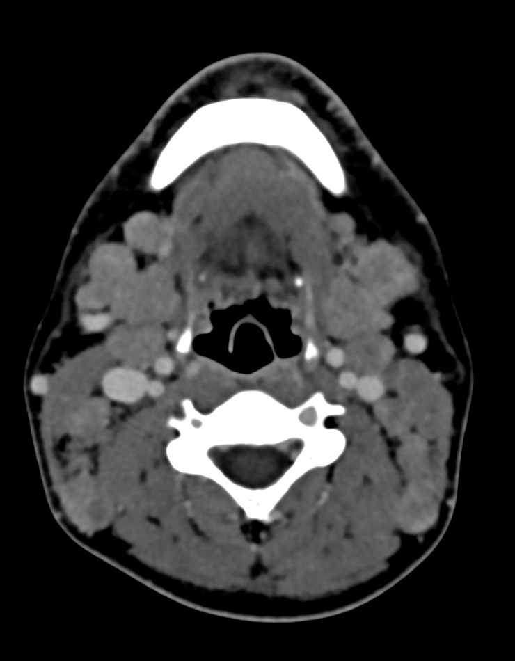 Malak Itani tweet media