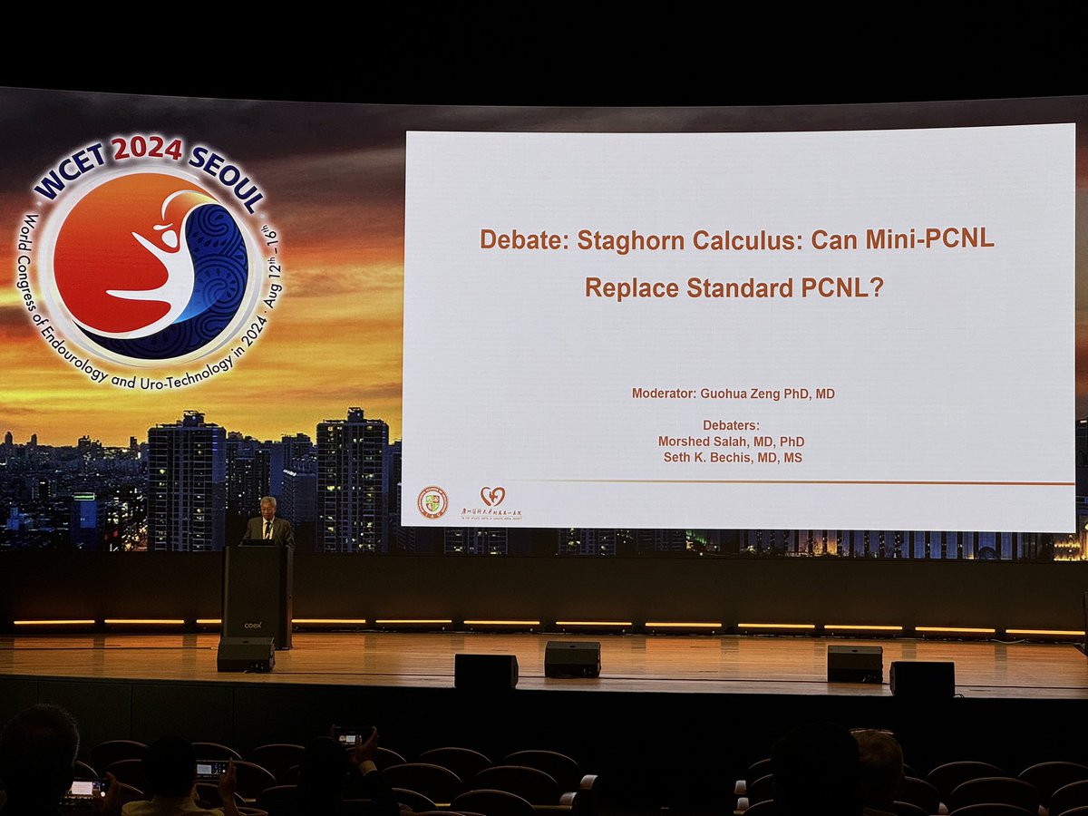 The debate on mini-PCNL vs standard PCNL starts!! #WCET24 #miniPCNL
