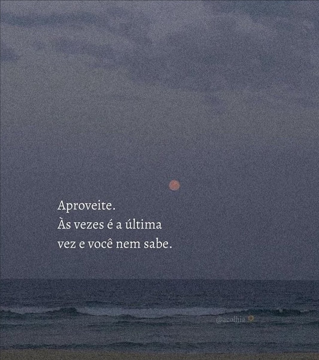 Frases (@privacidades) on Twitter photo 