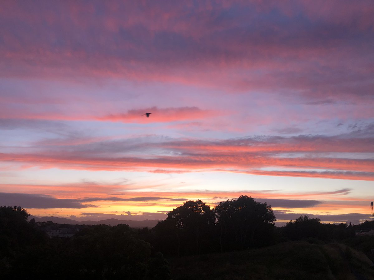 Ian Edwards tweet media