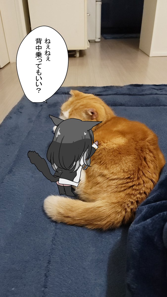 ジョー tweet media