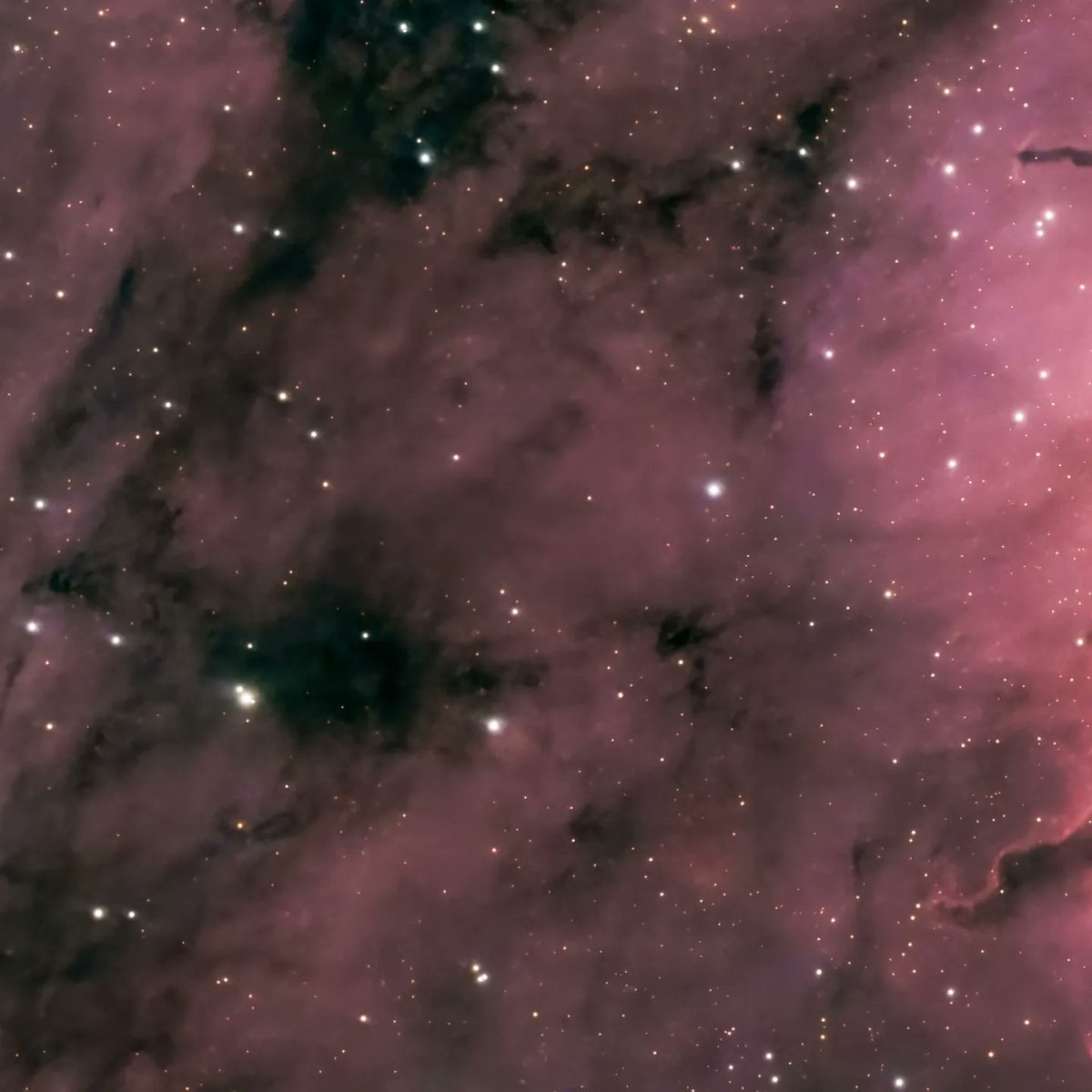 quarkmarc's tweet image. This is a dual mosaic of The Pelican Nebula! The light from young energetic stars is slowly transforming cold gas to hot and causing an ionization front gradually to advance outward. Dense filaments of cold gas are seen to still remain.
 #astrophotography #astronomy