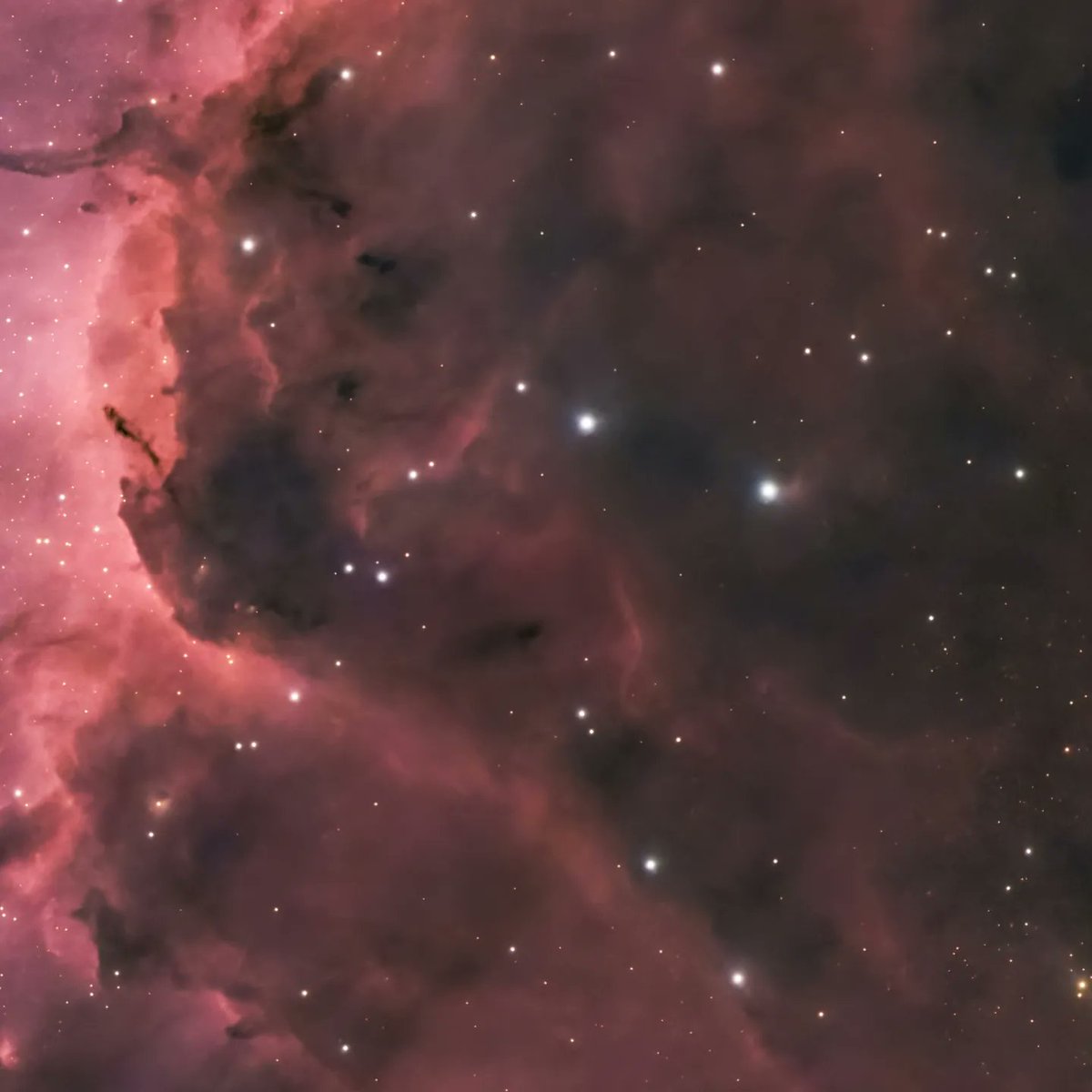 quarkmarc's tweet image. This is a dual mosaic of The Pelican Nebula! The light from young energetic stars is slowly transforming cold gas to hot and causing an ionization front gradually to advance outward. Dense filaments of cold gas are seen to still remain.
 #astrophotography #astronomy