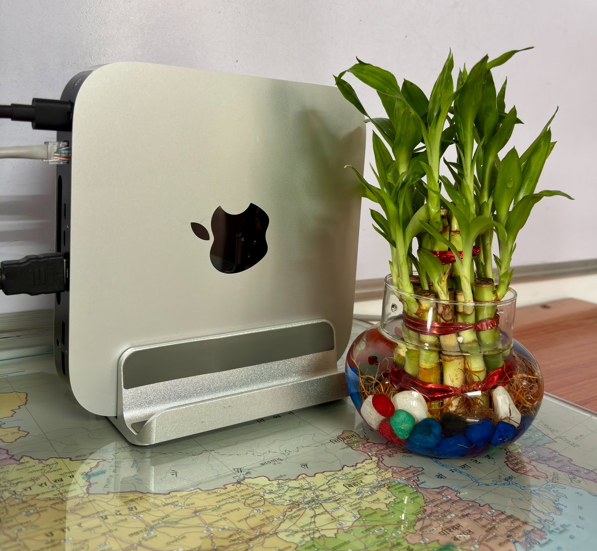 soniharishankar's tweet image. My Favourite #Macminim1 and #LuckyBamboo