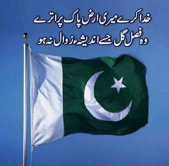 Inamcma's tweet image. 