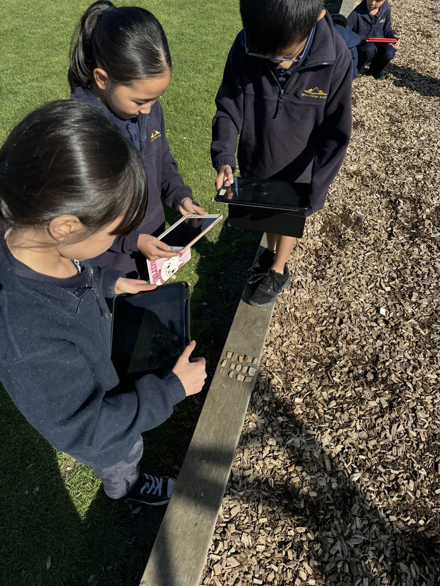 teacher_kels's tweet photo. More array spotting and making today - this time, before we went out, we learnt how to use Markup to show our learning and make it visible for our whānau to see when we share them #wspn #ads #ipad https://t.co/I7Nu4zM9KU