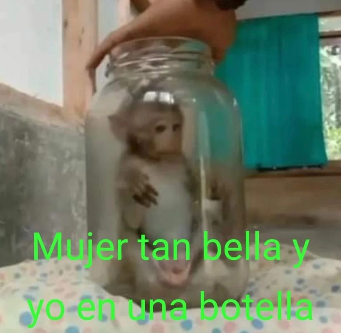 BFrog (@bfrog__) on Twitter photo 