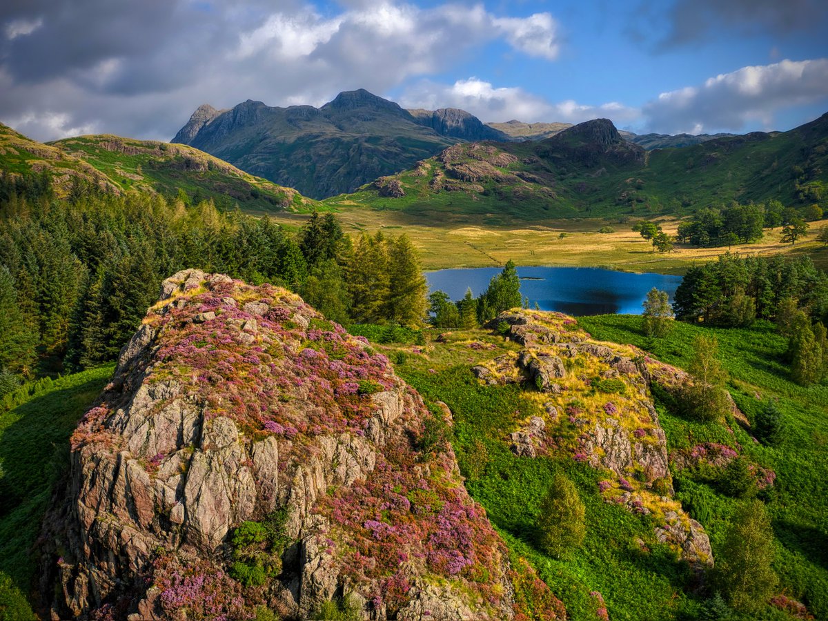 Rod Hutchinson (@lakesrhino) on Twitter photo Morning everyone hope you are well. Little Langdale one of the the quieter valleys overlooking Tarnclose Crag with Blea Tarn and the Langdales as the backdrop. Have a great day. #LakeDistrict <a href="/keswickbootco/">Keswick boot co</a> Morning everyone hope you are well. Little Langdale one of the the quieter valleys overlooking Tarnclose Crag with Blea Tarn and the Langdales as the backdrop. Have a great day. #LakeDistrict <a href="/keswickbootco/">Keswick boot co</a>