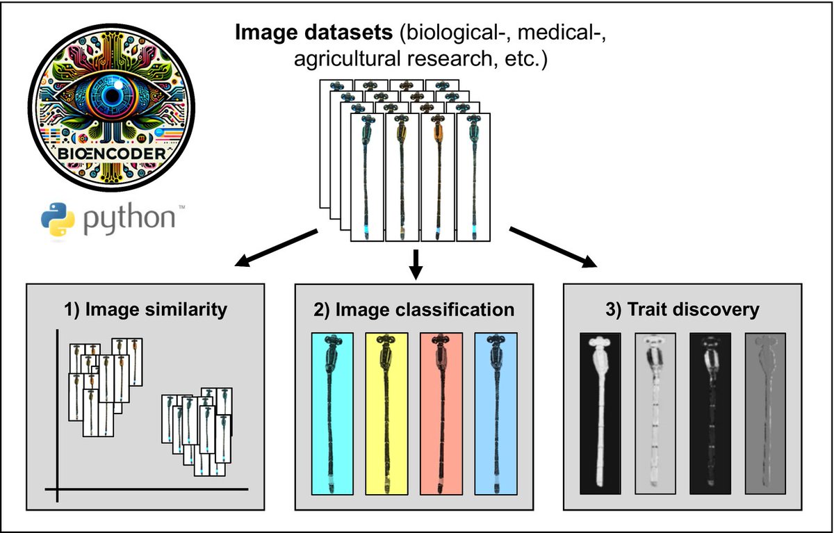 Arthur Porto (@artporto) on Twitter photo I realized I haven’t had the chance to properly celebrate <a href="/mluerig/">Moritz Lürig</a> joining the lab at the beginning of the year. But now Moritz has his first paper in the lab out in Ecology Letters. And it is a fun one. Go check it out:
onlinelibrary.wiley.com/doi/full/10.11… I realized I haven’t had the chance to properly celebrate <a href="/mluerig/">Moritz Lürig</a> joining the lab at the beginning of the year. But now Moritz has his first paper in the lab out in Ecology Letters. And it is a fun one. Go check it out:
onlinelibrary.wiley.com/doi/full/10.11…