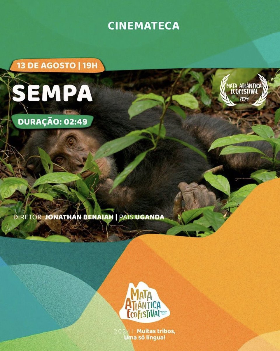 AhaJonathan's tweet photo. Our short film “SEMPA - The Lost Chimpanzees of Kyambura” continues to attract interest. 

Official selection and now also screening for the very first time in Brazil at one of South America’s biggest film festivals, Mata Atlântica Ecofestival. Super pumped 💪 https://t.co/qUWUN9izYM