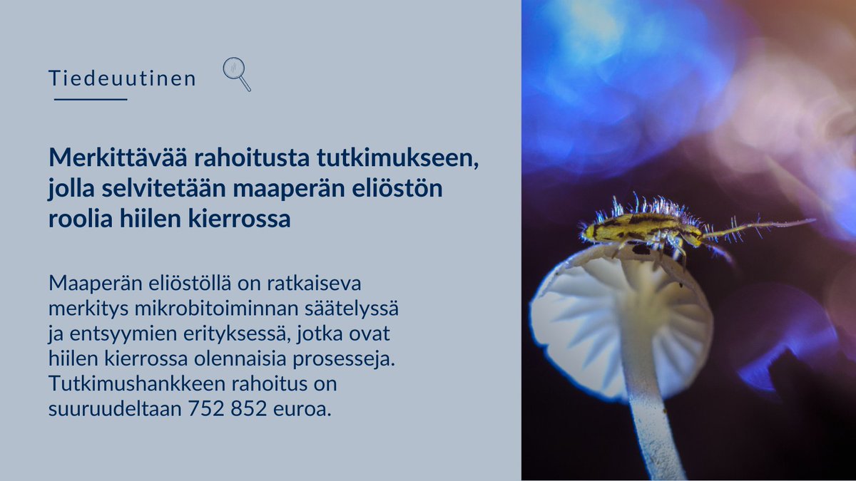 University of Jyväskylä (@uniofjyvaskyla) on Twitter photo Uuden <a href="/SuomenAkatemia/">Suomen Akatemia | Research Council of Finland</a>'n rahoittaman tutkimushankkeen tavoitteena on tuottaa uutta tietoa maaperän eliöstön osuudesta planeettamme terveyteen. Tarkoitus on tuottaa realistisempia ennusteita maaperän hiilen kierrosta muuttuvassa maailmassa. ⏩ r.jyu.fi/FCb <a href="/jyuscience/">Faculty of Mathematics and Science</a> Uuden <a href="/SuomenAkatemia/">Suomen Akatemia | Research Council of Finland</a>'n rahoittaman tutkimushankkeen tavoitteena on tuottaa uutta tietoa maaperän eliöstön osuudesta planeettamme terveyteen. Tarkoitus on tuottaa realistisempia ennusteita maaperän hiilen kierrosta muuttuvassa maailmassa. ⏩ r.jyu.fi/FCb <a href="/jyuscience/">Faculty of Mathematics and Science</a>
