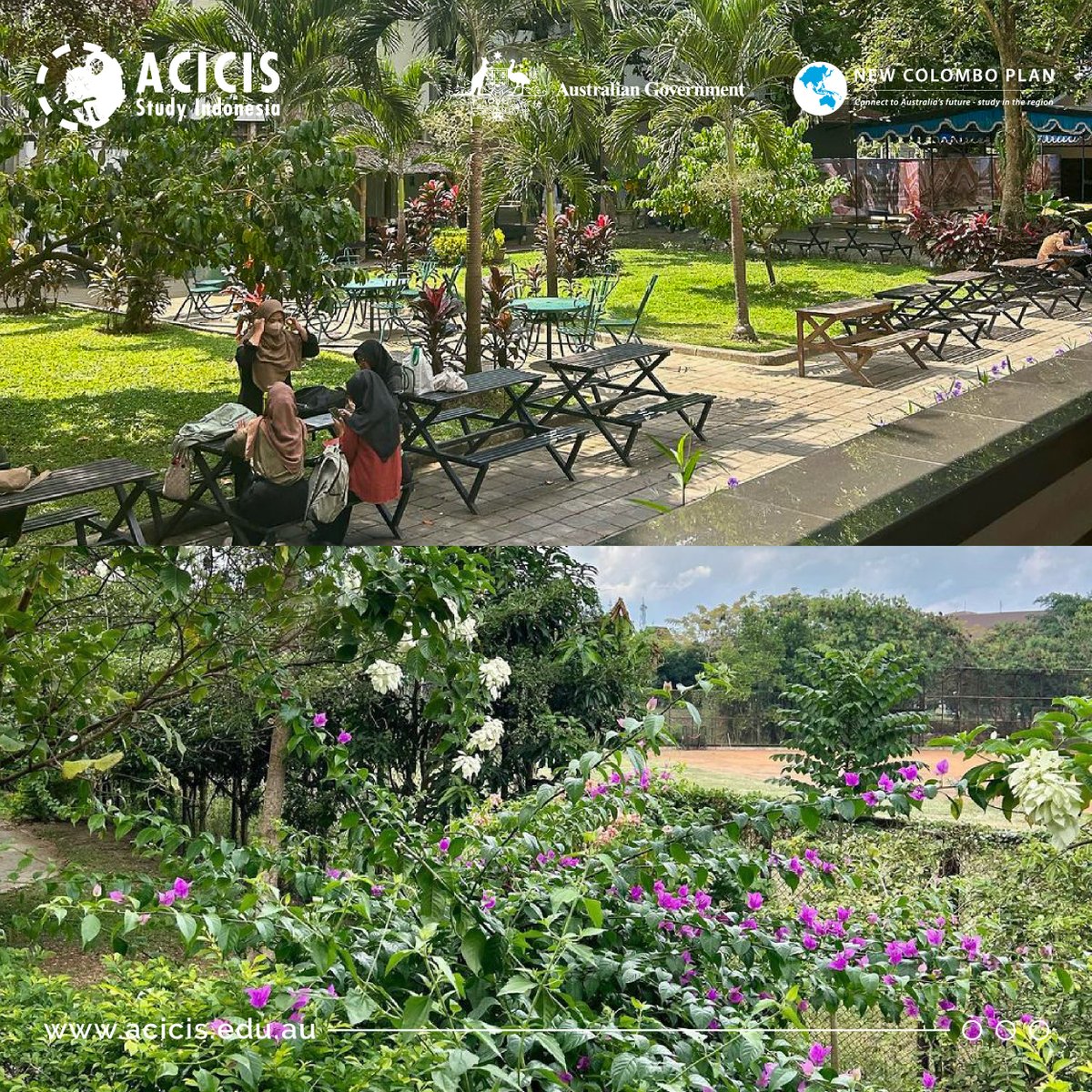 Acicis's tweet photo. ACICIS' Yogya-based semester programs are officially underway for the 59th time!
With the help of their student buddies, they’re already diving into local culture and trying spicy sambal 🌶️
Stay tuned for more updates on their journey!
#ACICS #NCP #studyabroad #unilife https://t.co/3ADnvuYafi