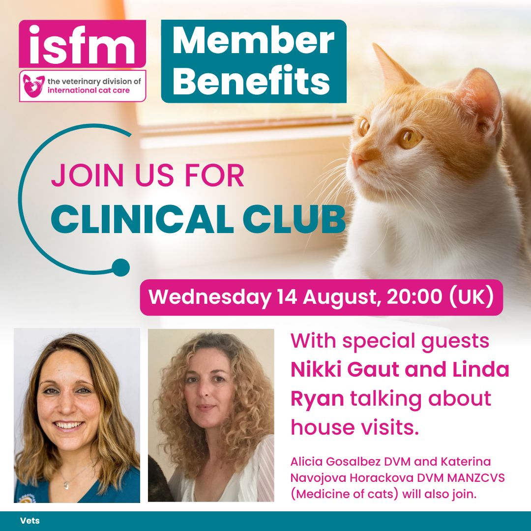 ISFMcats's tweet photo. 🩺 Vet Members – join us tonight at 20:00 (UK) for #ClinicalClub! 👩💻 Nikki Gaut returns to chat more about cat friendly home visits following her July webinar. Also joining are Linda Ryan, Alicia Gosalbez and Katerina Navojova Horackova. Check your emails for how to join 📧 https://t.co/ESqOsZVy7H