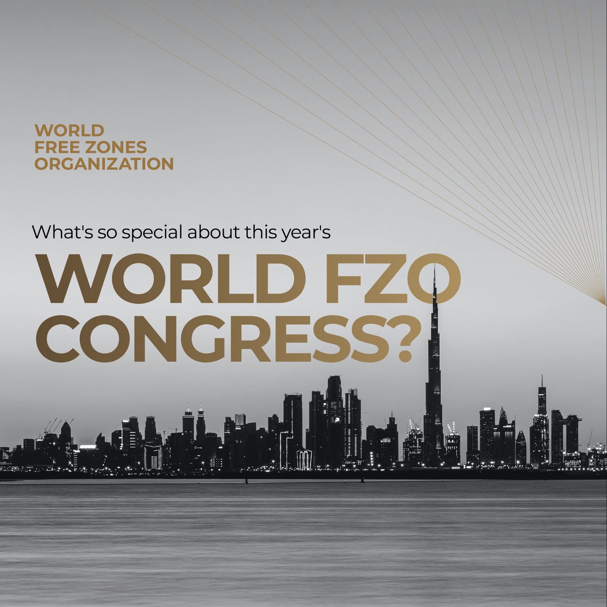 World Free Zones Organization tweet media